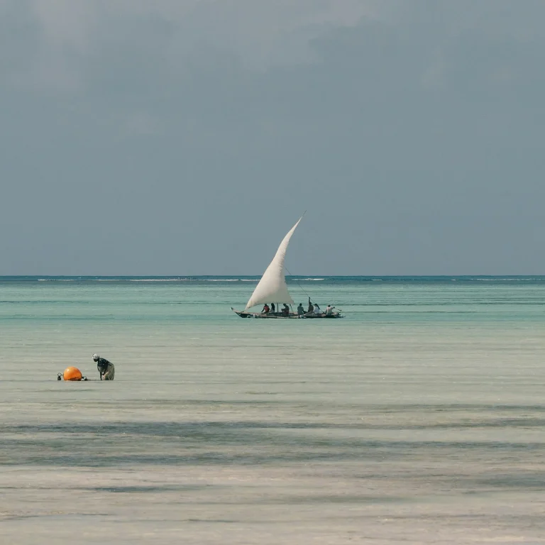 Voilier traditionnel à voile blanche naviguant sur les eaux peu profondes de l'océan Indien au large de Zanzibar